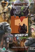 Monkey Life