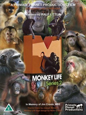 Monkey Life