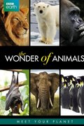 The Wonder of Animals
