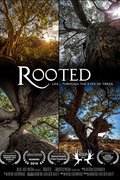 Rooted