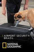 Airport Security: Brazil