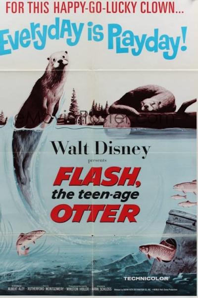 Flash, The Teenage Otter