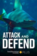 Attack and Defend