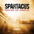 Spartacus: House of Ashur