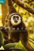 Primates