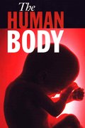 The Human Body