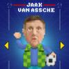 Jaak van Assche