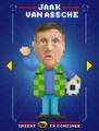 Jaak van Assche