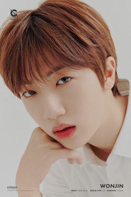 Ham Wonjin