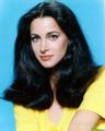 Connie Sellecca