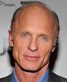 Ed Harris