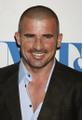 Dominic Purcell
