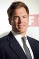 Michael Weatherly