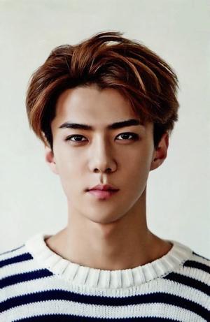 Oh Se Hun