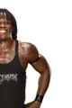 Ron Killings