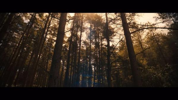 Тор в новом тизере фильма «Мстители: Судный день»