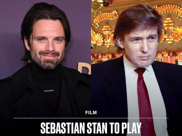 Себастьян Стэн исполнит роль молодого Дональда Трампа в байопике «Студент»